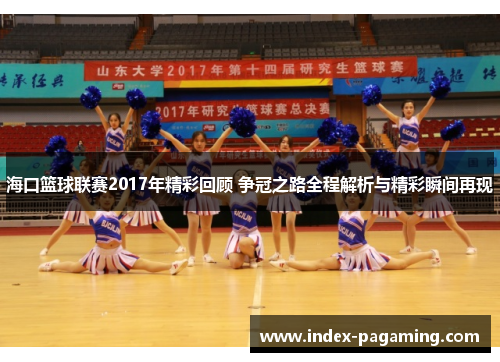 海口篮球联赛2017年精彩回顾 争冠之路全程解析与精彩瞬间再现