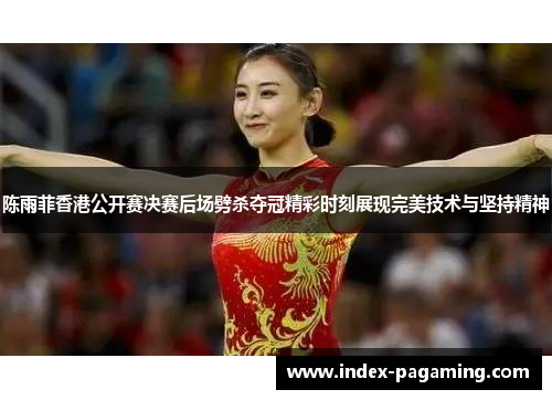 陈雨菲香港公开赛决赛后场劈杀夺冠精彩时刻展现完美技术与坚持精神